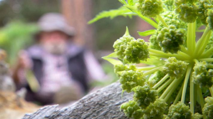 Aquí la Tierra - Coscolls, joya escondida
