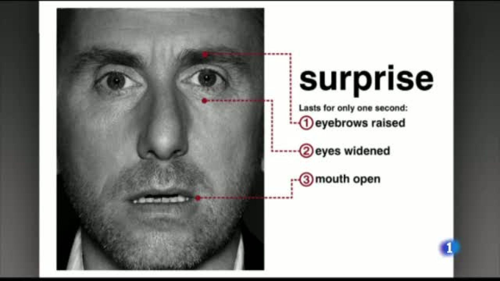 Us ensenyem el peritatge judicial que es fa a partir de les microexpressions facials