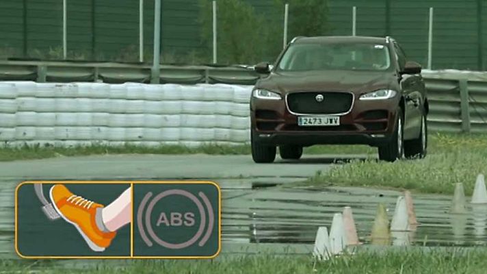 Seguridad vital 5.0 - Seguridad Vital - 02/07/17