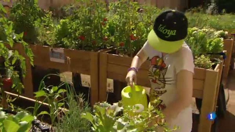 Us ensenyem el projete social que hi ha darrera de l'hort d'en Queni