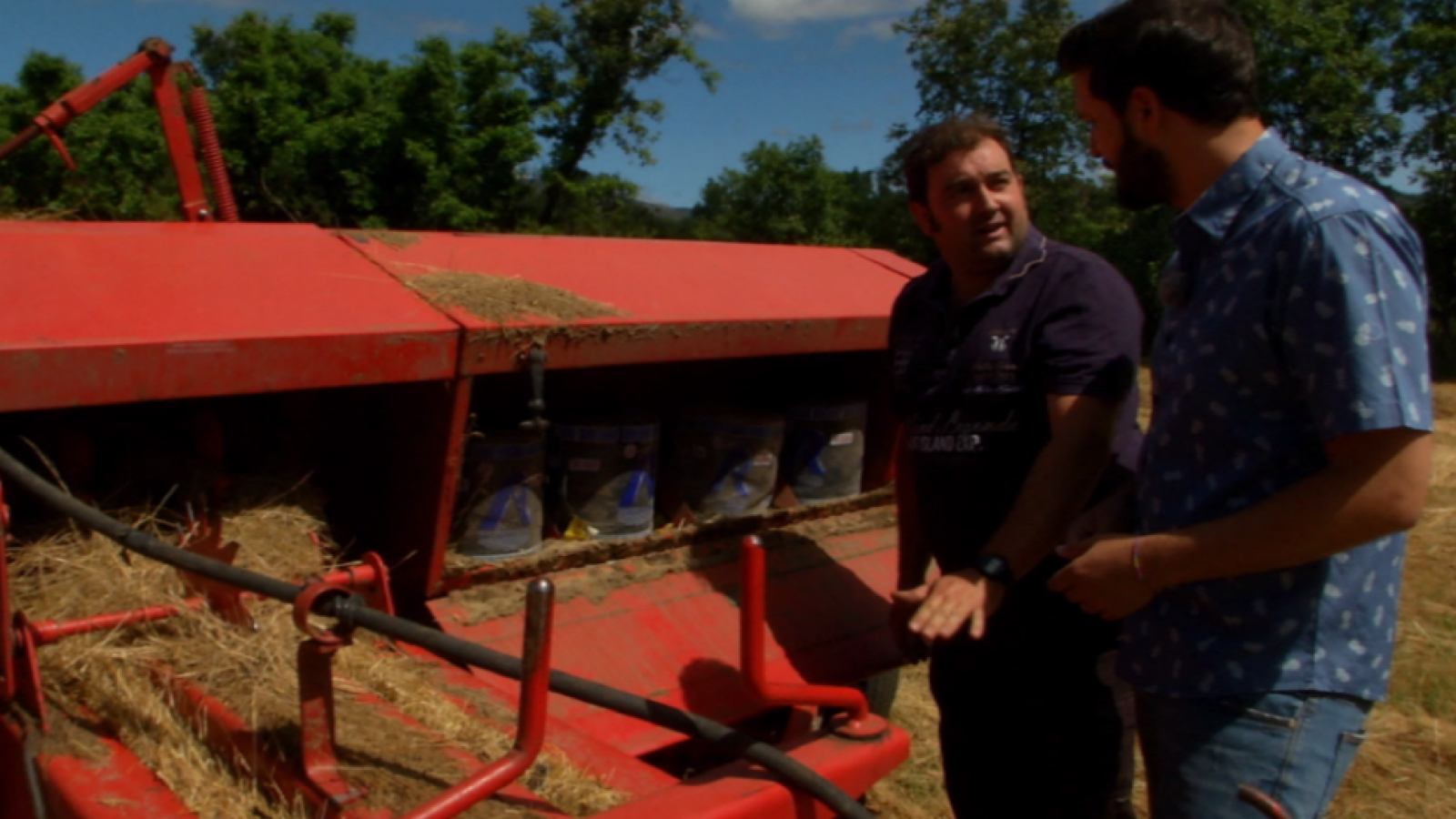 Cómo se hacen las alpacas