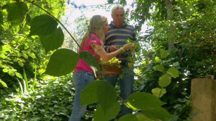 Aquí la Tierra - Es tiempo de ricas cerezas