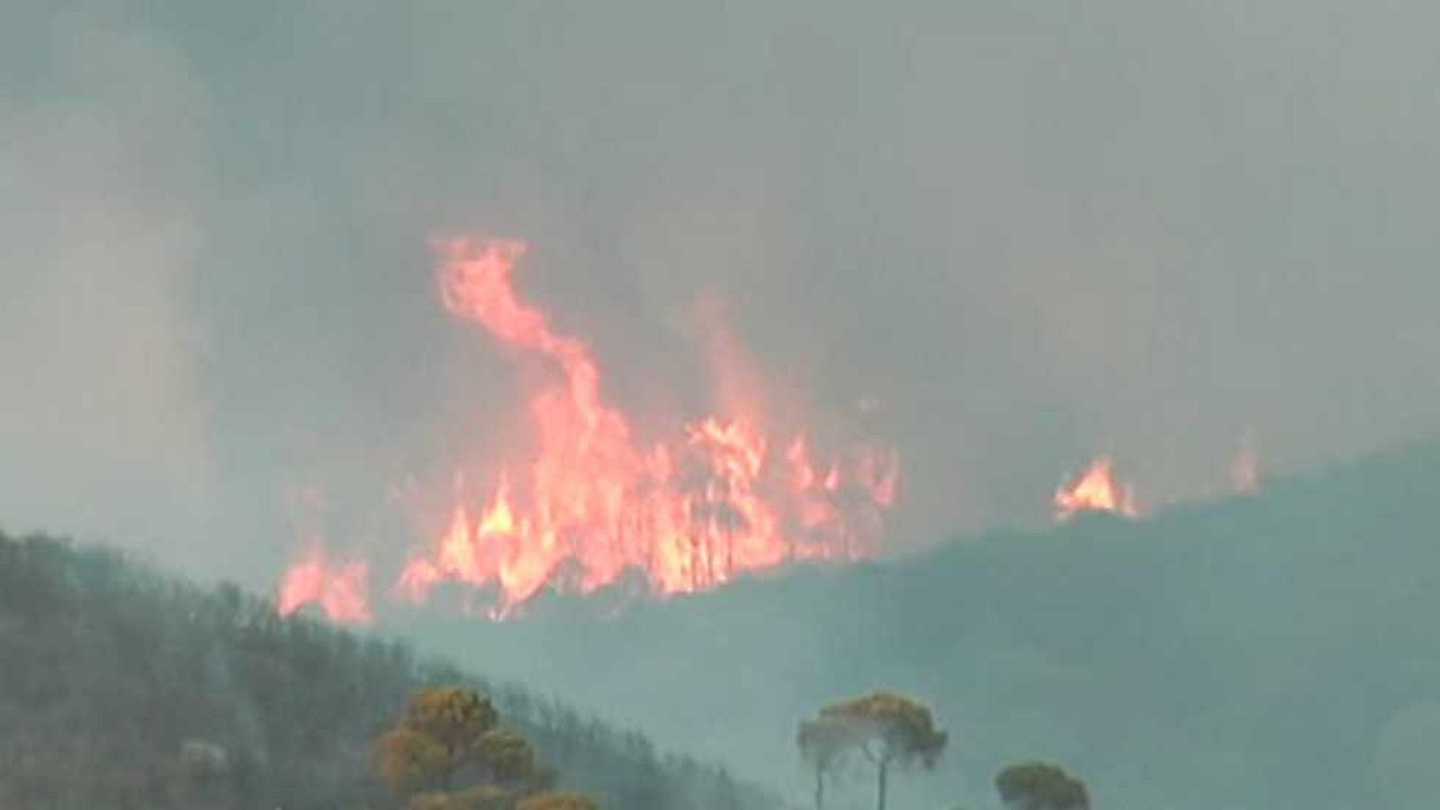 España en 24 horas - 04/07/17- ver ahora