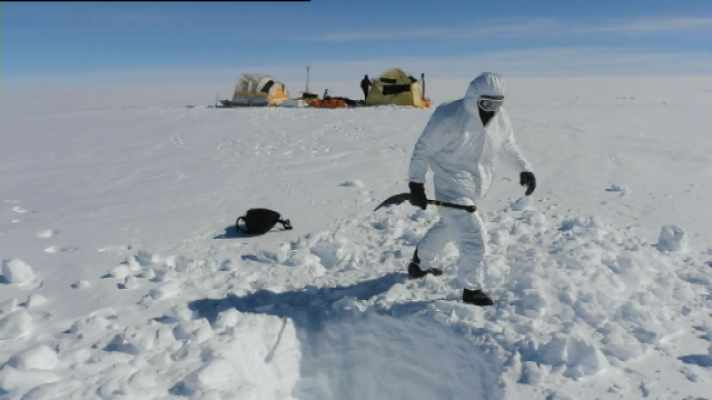 Teleplaneta - Teleplaneta - 03/07/2017