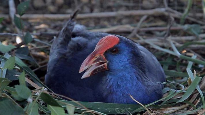 Aquí la Tierra - Aquí la Tierra - 04/07/17