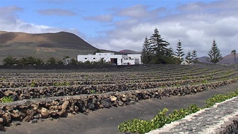 Telecanarias - 05/07/2017