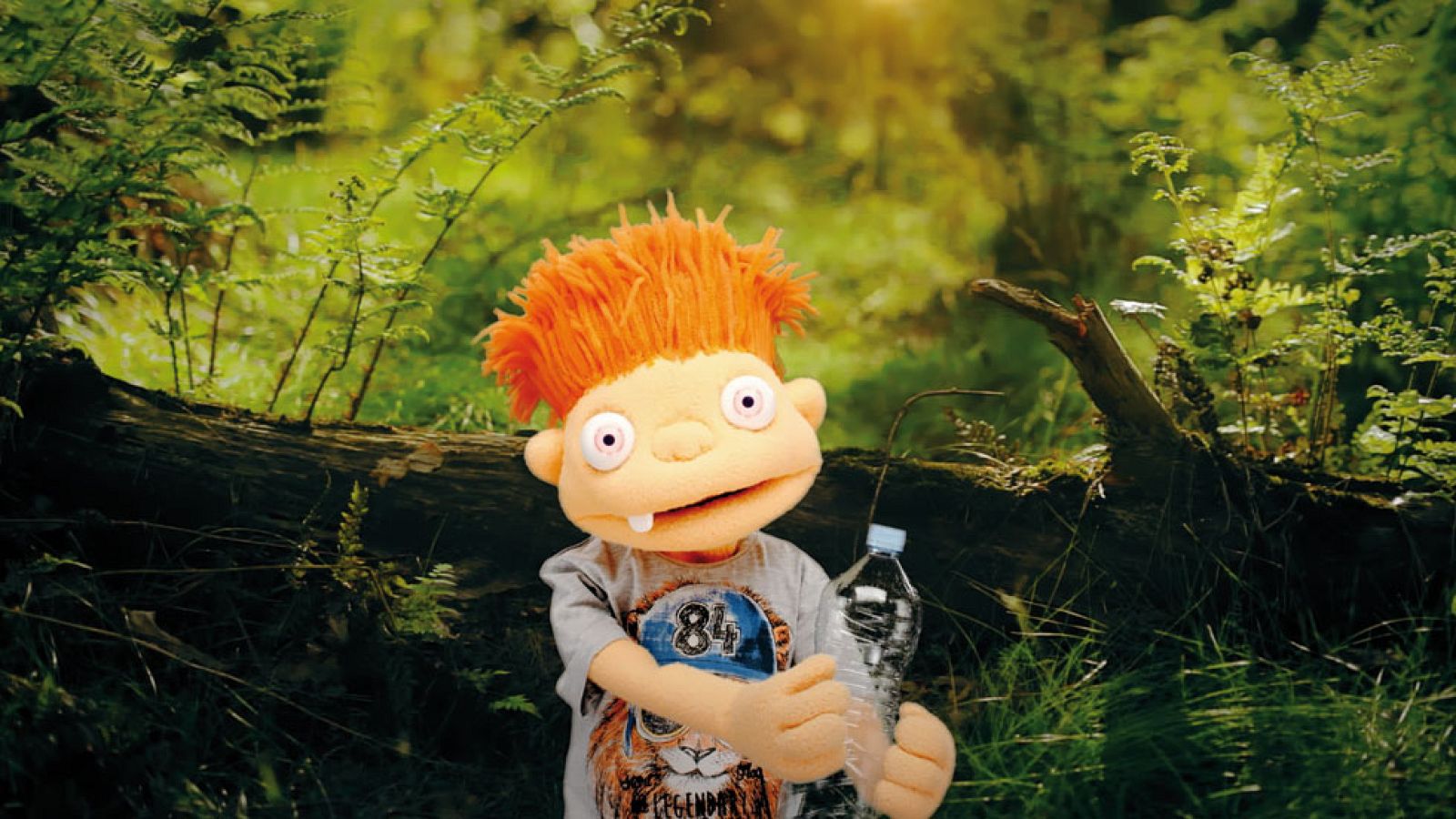 En verano...¡cuida los bosques y evita incendios! - El mes de... | Ver