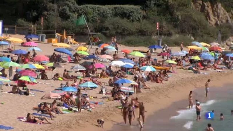 Els primers auxilis, una eina bàsica davant una emergència