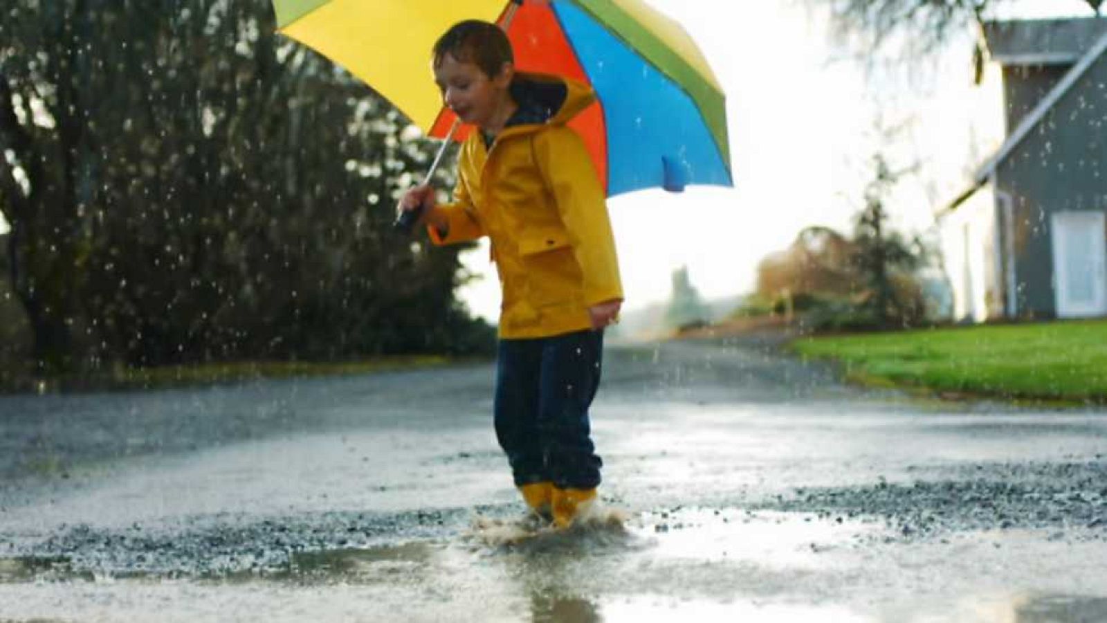 Brain Games - La lógica - ver ahora