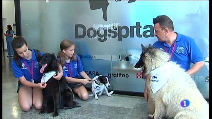 Informatiu Balear - Els cans, nous visitants a l'hospital de Can Misses