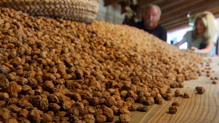 Aquí la Tierra - La fórmula de la horchata casera