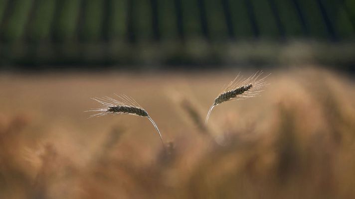 Informativo de Madrid - El Tiempo en la Comunidad de Madrid - 11/07/17