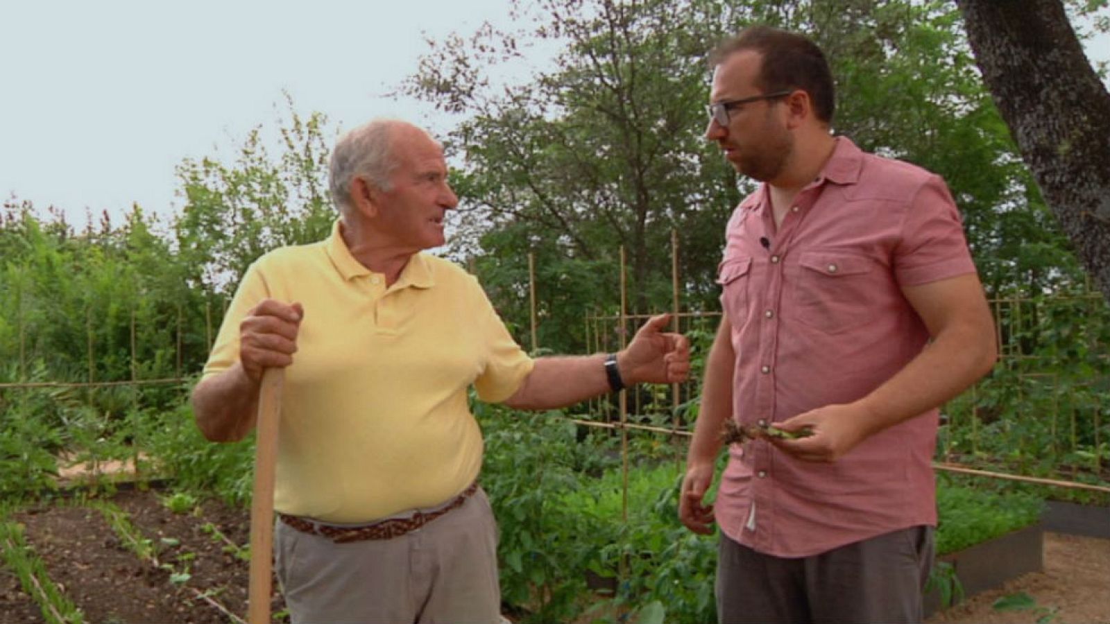 Nano, hombre refranero