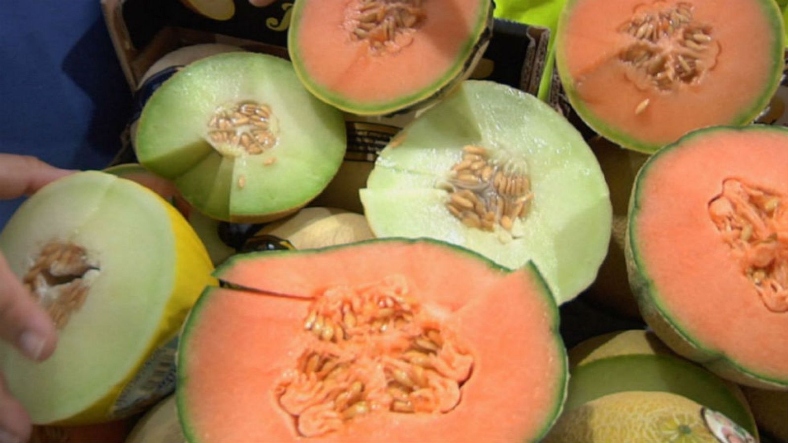 Melones que enamoran