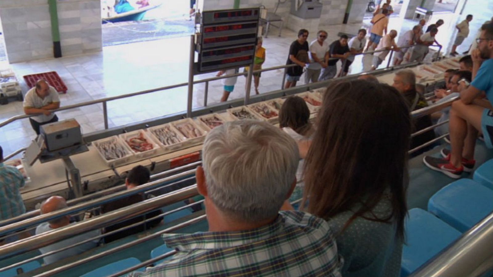 Así funciona una subasta de pescado