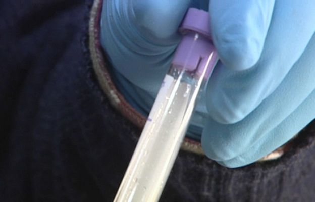 Reporteros del Telediario - Inmigrantes muertos sin identificar