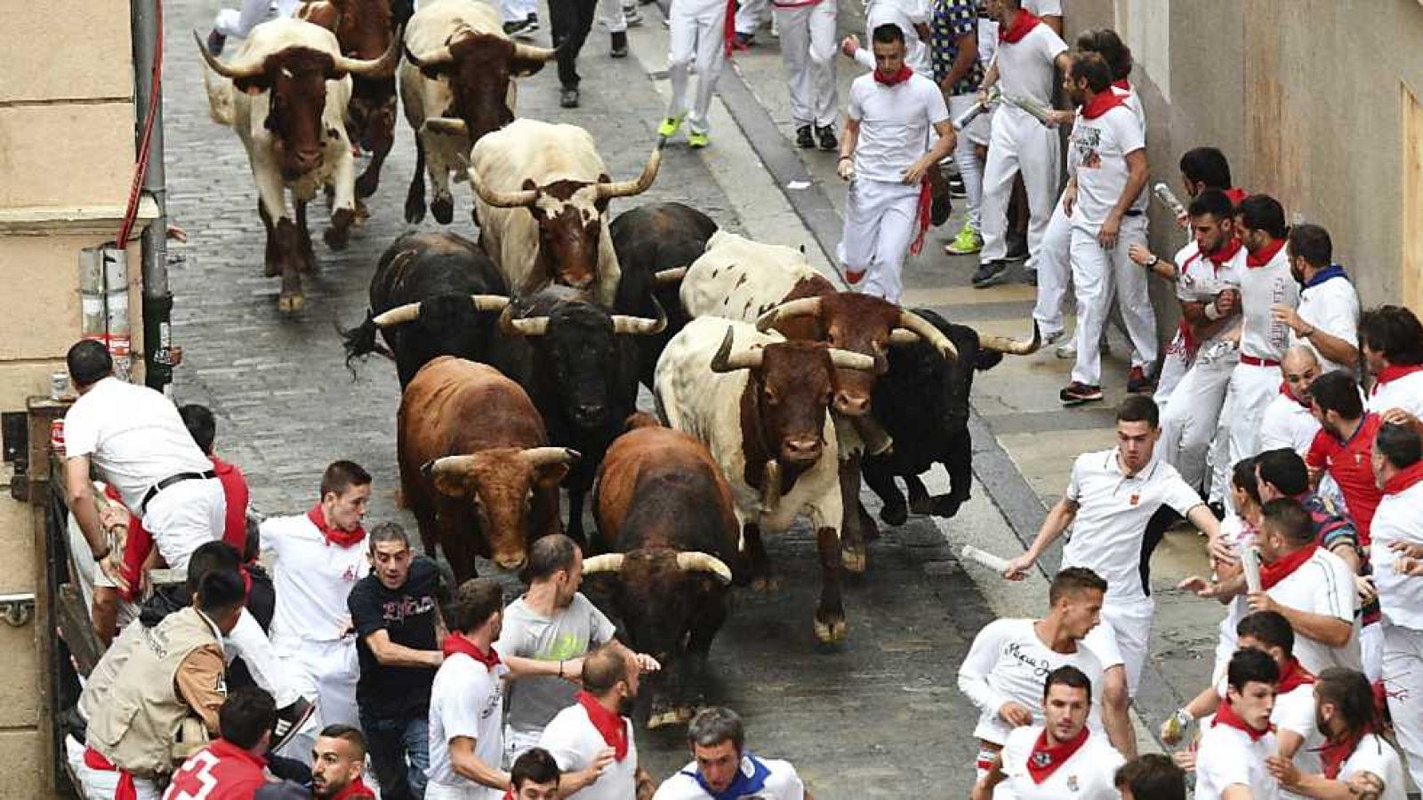 Vive San Fermín - Séptimo encierro - ver ahora