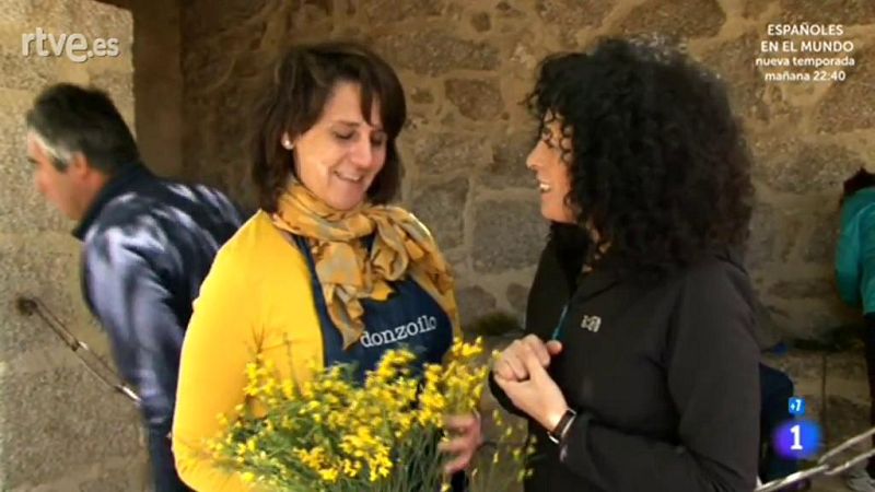 Comando al Sol - El salto del verano - Un brinco a lo de antes