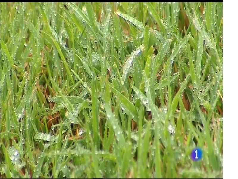 El tiempo en Asturias - 13/07/17 | Ver