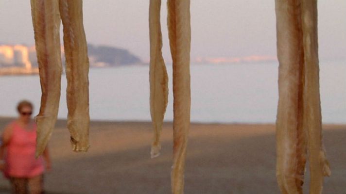 Aquí la Tierra - Cocinamos ¿tiburón?