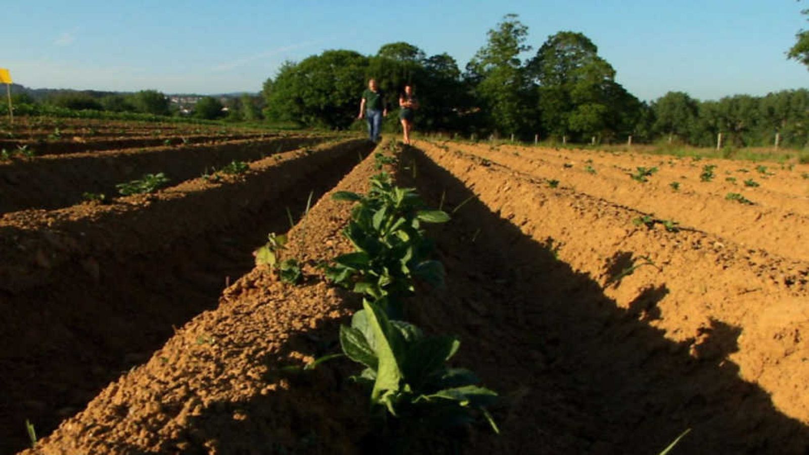 Aquí la Tierra - 13/07/17 - ver ahora