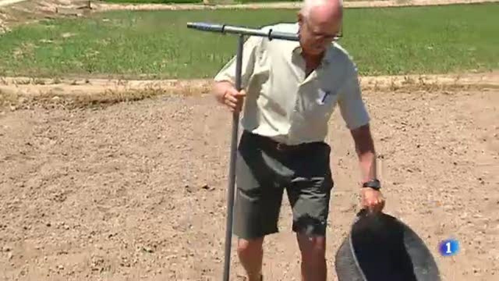 El centre IRTA ajuda als arrossaires del Delta de l'Ebre a millorar les seves collites