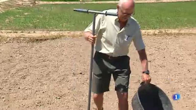 El centre IRTA ajuda als arrossaires del Delta de l'Ebre a millorar les seves collites