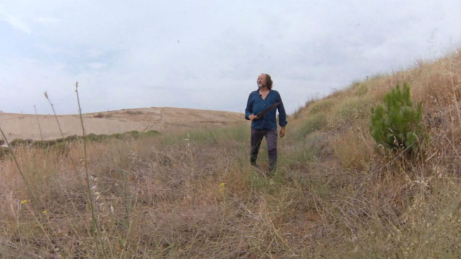 La supervivencia de las aves carroñeras