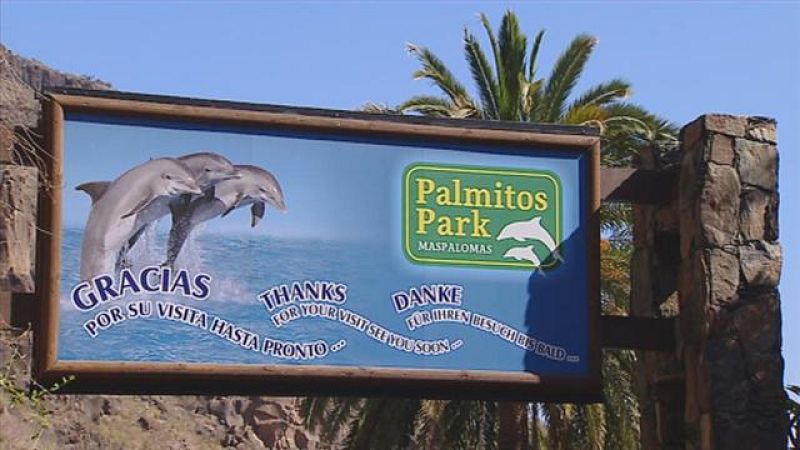 Sentencia Palmitos Park - Canarias | Ver
