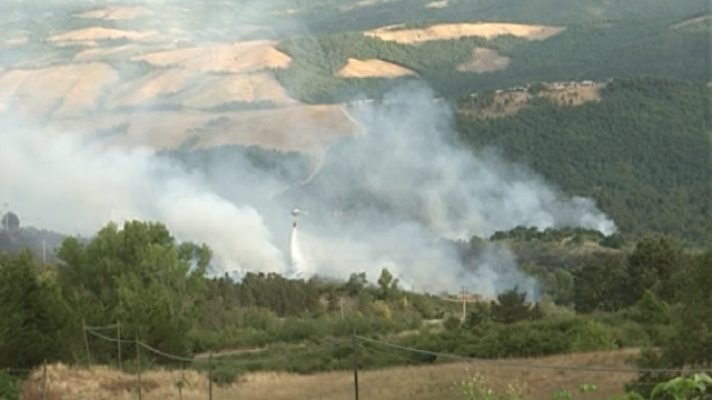 Teleplaneta - Teleplaneta - 17/07/2017