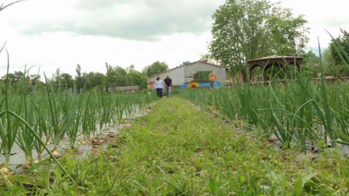 Aquí la Tierra - Huerto terapéutico