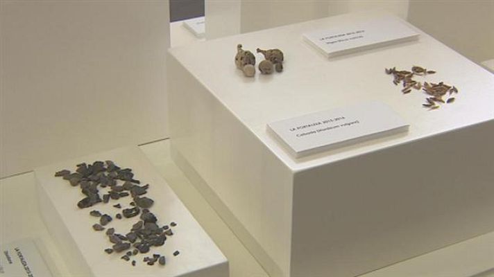  - Arqueología en La Fortaleza