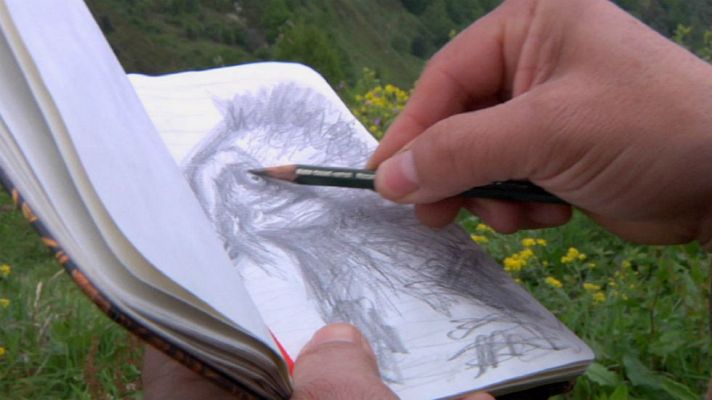 Aquí la Tierra - El quebrantahuesos, un buitre diferente