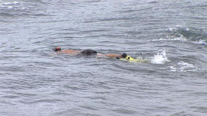 Telecanarias - Canarias en 2' - 22/07/2017