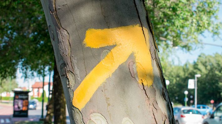 Telediario 1 - Ana ha conseguido cumplir uno de sus sueños