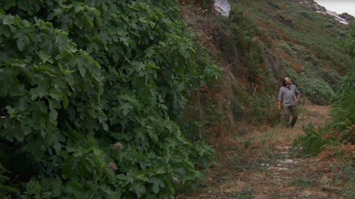 Aquí la Tierra - A Costa da Vida