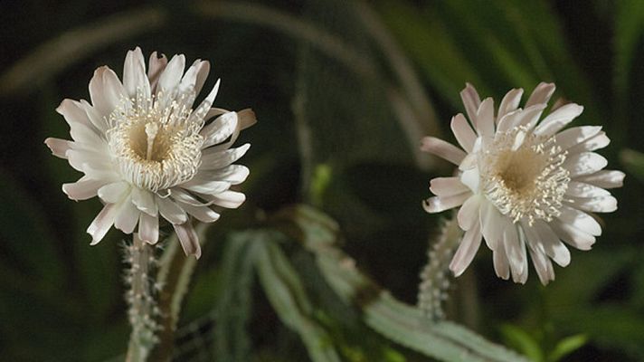 Informativo de Madrid - La Comunidad de Madrid en 4' - 25/07/17