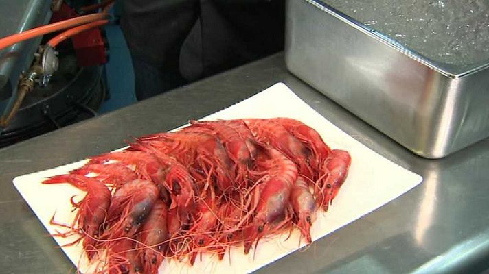 Somos DietaMediterránea - La gamba de Dénia