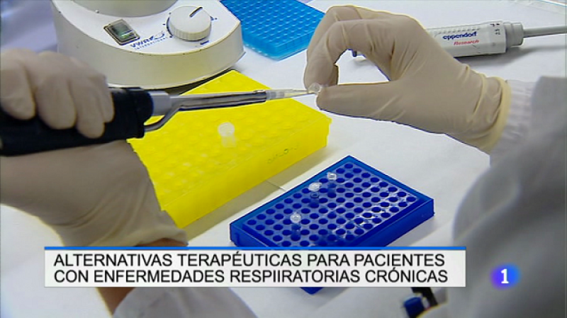 Informativo Telerioja 2 - 26/07/17