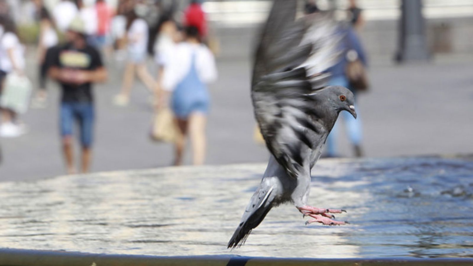 El Tiempo en la Comunidad de Madrid - 27/07/17