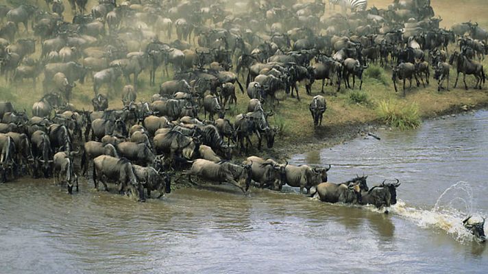 Grandes documentales - Ben Fogle. La gran migración. Episodio 4