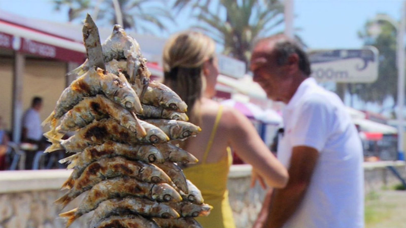 Nos hacemos maestros espeteros