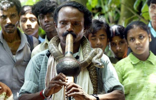  - Protesta encantadores de serpientes