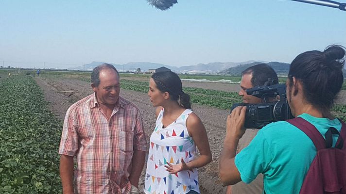 Aquí la Tierra - Melones con bruma de mar