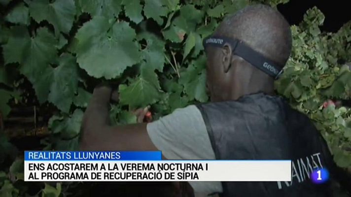 L'Informatiu - L'informatiu - 01/08/2017