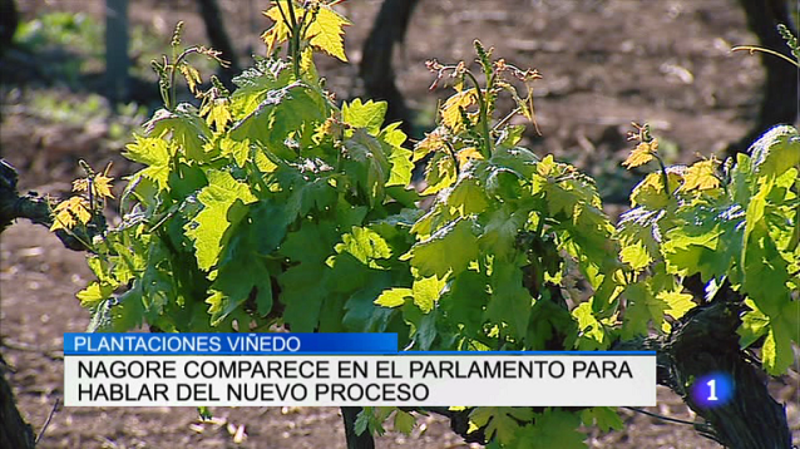 Informativo Telerioja 2 - 01/08/17