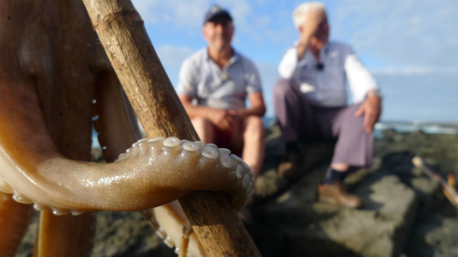 El canto de la morena