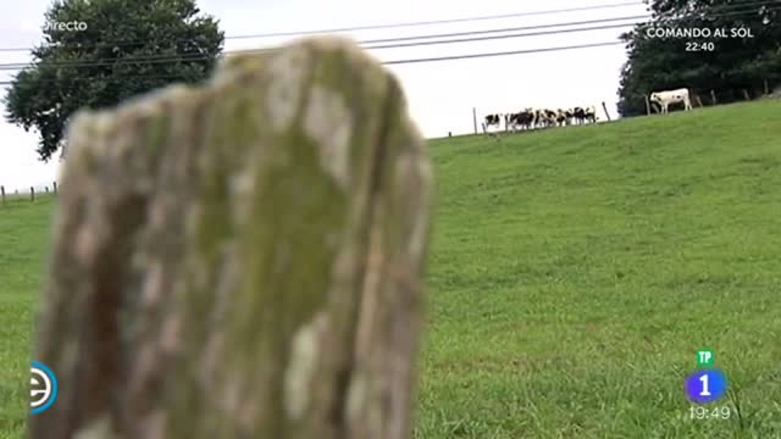 España Directo - Helado de mantecado, 80 años de tradición