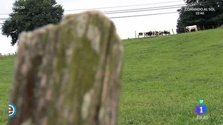 España Directo - España Directo - Helado de mantecado, 80 años de tradición