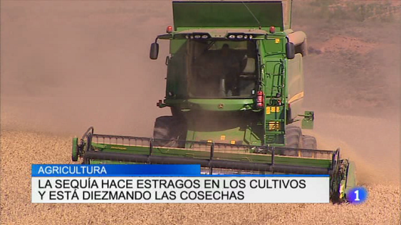 Informativo Telerioja 2 - 03/08/17